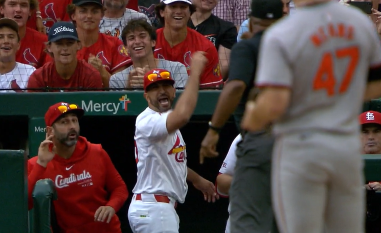 Cardinals Manager Oli Marmol