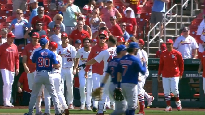 Benches Cleared - Redbird Report Benches Cleared