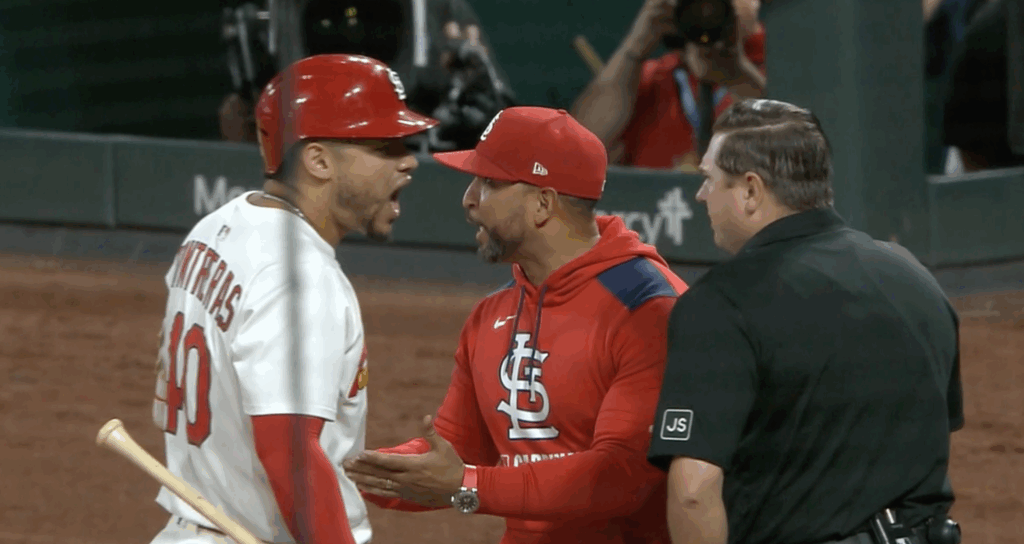 St. Louis Cardinals Starter Willson Contreras Shut Down for the Season